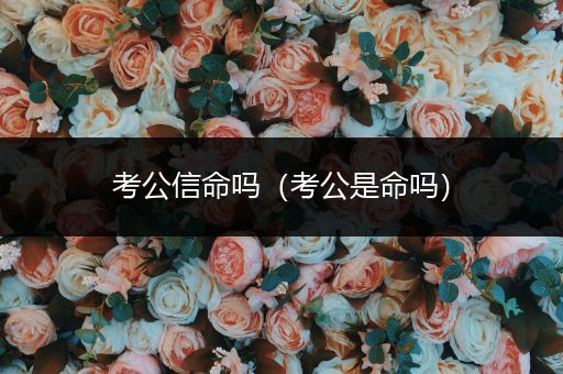 考公信命吗（考公是命吗）