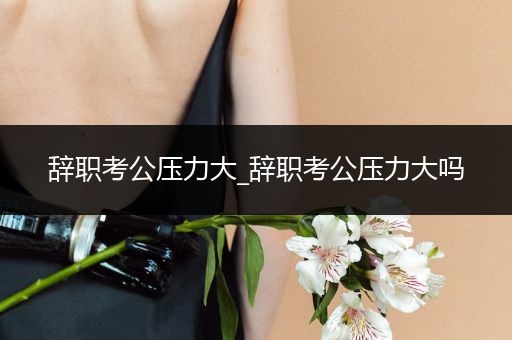 辞职考公压力大_辞职考公压力大吗