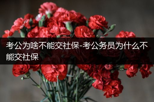 考公为啥不能交社保-考公务员为什么不能交社保