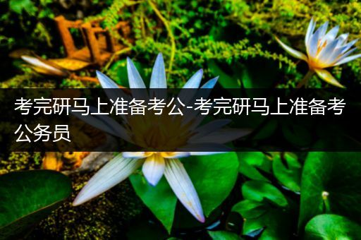 考完研马上准备考公-考完研马上准备考公务员