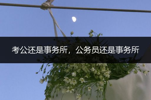 考公还是事务所，公务员还是事务所