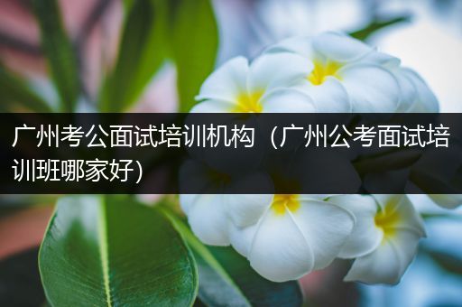 广州考公面试培训机构（广州公考面试培训班哪家好）