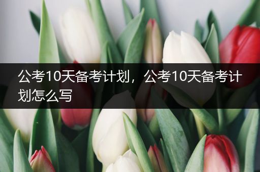 公考10天备考计划，公考10天备考计划怎么写