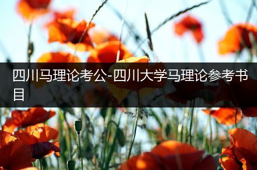 四川马理论考公-四川大学马理论参考书目