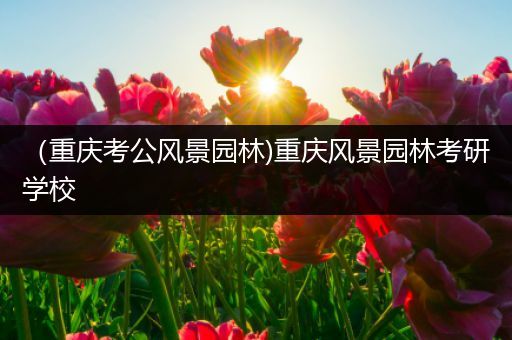 （重庆考公风景园林)重庆风景园林考研学校