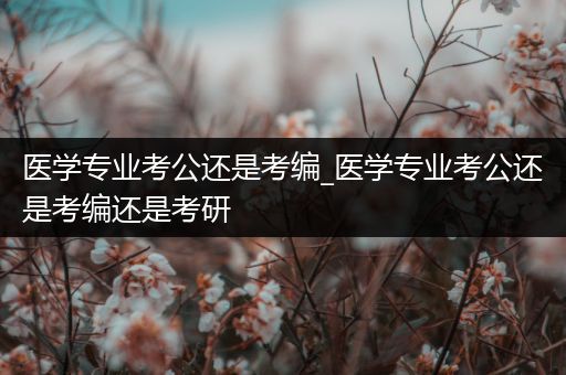 医学专业考公还是考编_医学专业考公还是考编还是考研