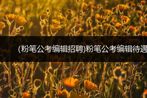（粉笔公考编辑招聘)粉笔公考编辑待遇