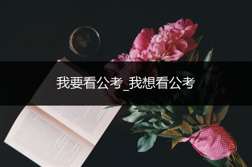 我要看公考_我想看公考