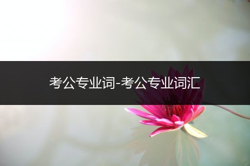 考公专业词-考公专业词汇