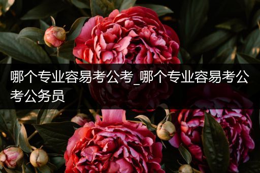 哪个专业容易考公考_哪个专业容易考公考公务员