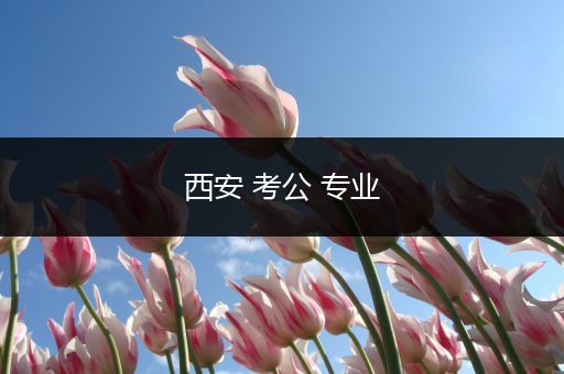 西安 考公 专业