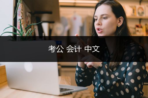 考公 会计 中文