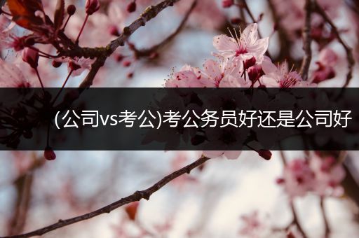 （公司vs考公)考公务员好还是公司好