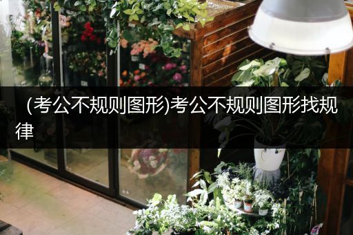 （考公不规则图形)考公不规则图形找规律
