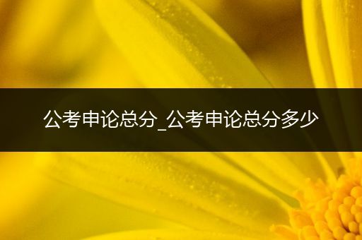 公考申论总分_公考申论总分多少