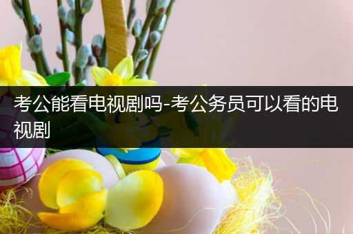 考公能看电视剧吗-考公务员可以看的电视剧