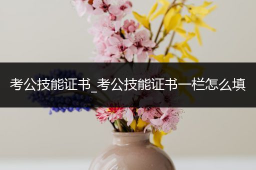 考公技能证书_考公技能证书一栏怎么填