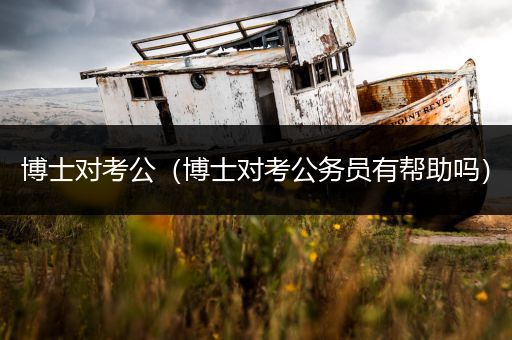 博士对考公（博士对考公务员有帮助吗）