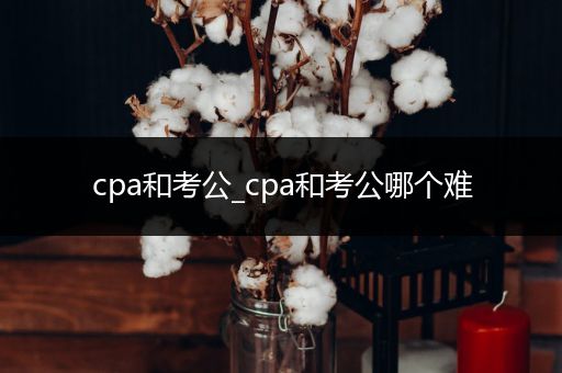 cpa和考公_cpa和考公哪个难