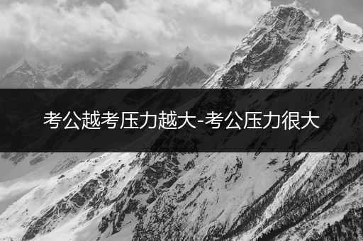 考公越考压力越大-考公压力很大