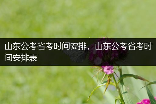 山东公考省考时间安排，山东公考省考时间安排表