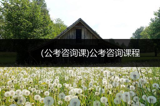 （公考咨询课)公考咨询课程