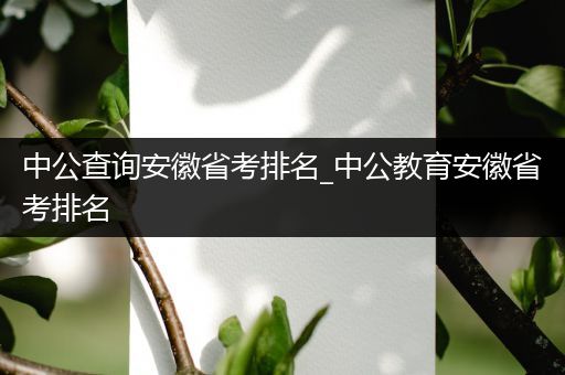 中公查询安徽省考排名_中公教育安徽省考排名