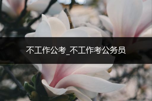 不工作公考_不工作考公务员