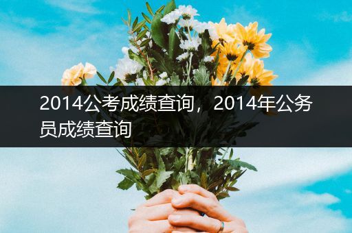 2014公考成绩查询，2014年公务员成绩查询