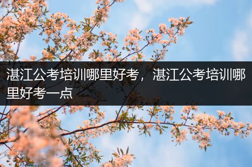 湛江公考培训哪里好考，湛江公考培训哪里好考一点