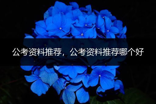 公考资料推荐，公考资料推荐哪个好