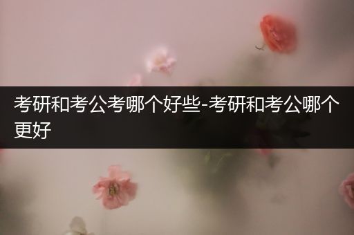 考研和考公考哪个好些-考研和考公哪个更好