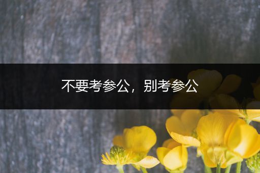 不要考参公，别考参公