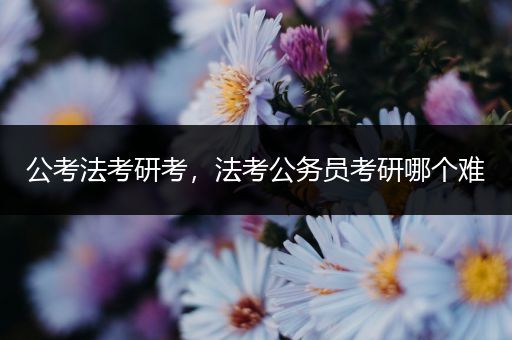 公考法考研考，法考公务员考研哪个难