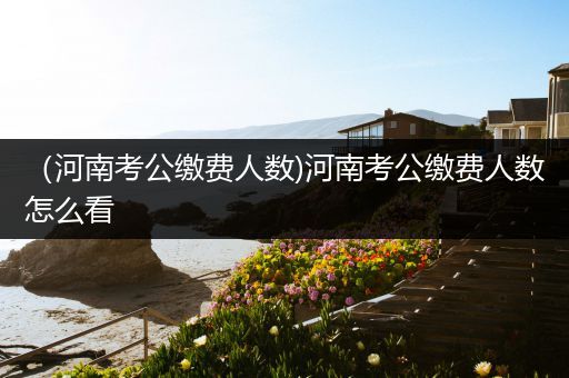 （河南考公缴费人数)河南考公缴费人数怎么看