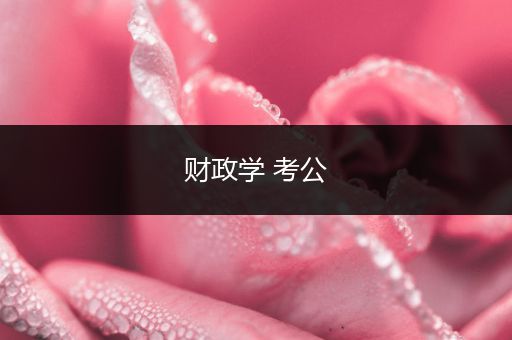 财政学 考公