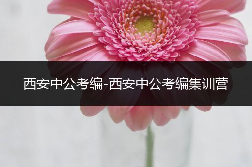 西安中公考编-西安中公考编集训营
