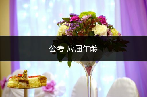 公考 应届年龄