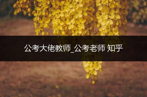 公考大佬教师_公考老师 知乎