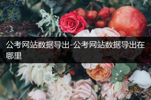 公考网站数据导出-公考网站数据导出在哪里