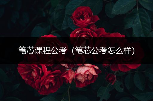 笔芯课程公考（笔芯公考怎么样）