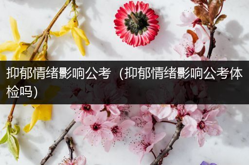 抑郁情绪影响公考（抑郁情绪影响公考体检吗）