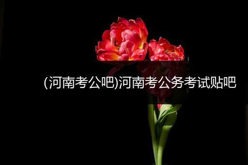 （河南考公吧)河南考公务考试贴吧