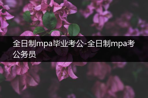 全日制mpa毕业考公-全日制mpa考公务员