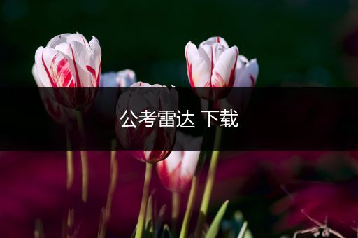 公考雷达 下载
