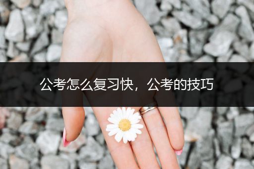 公考怎么复习快，公考的技巧