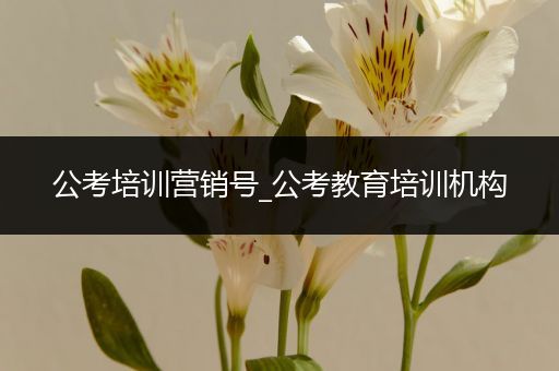 公考培训营销号_公考教育培训机构