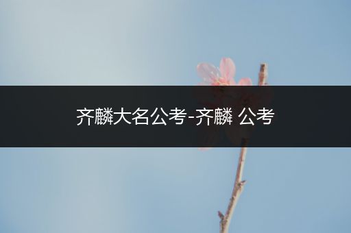 齐麟大名公考-齐麟 公考