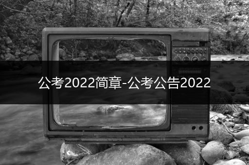 公考2022简章-公考公告2022