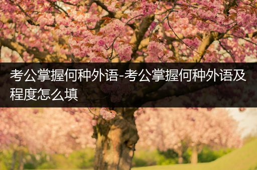 考公掌握何种外语-考公掌握何种外语及程度怎么填